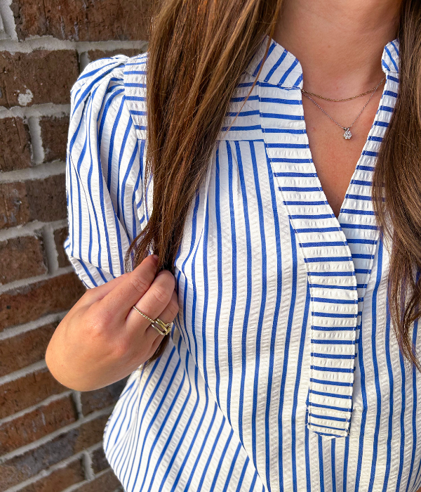 Sylvie Blue Striped Top