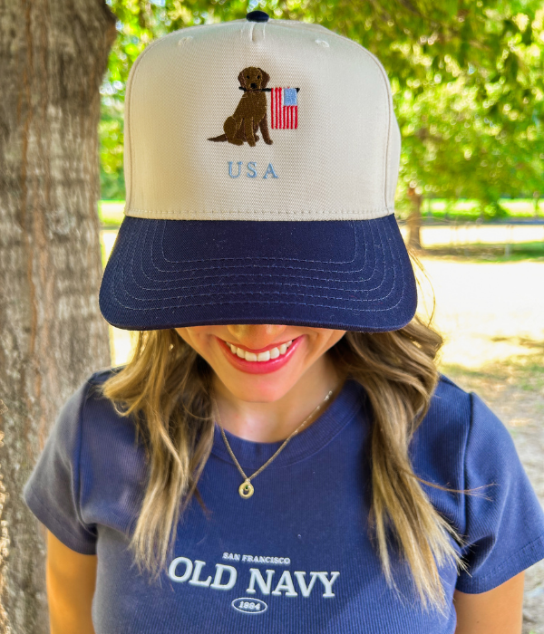 USA Dog Hat